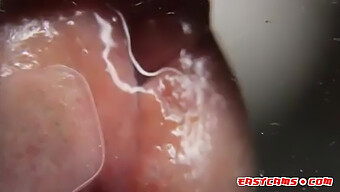 Hd Close-Up Of Amateur Ejaculation On Smooth Surface