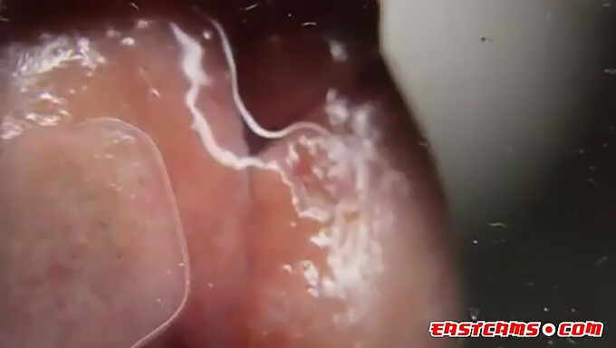 HD close-up of amateur ejaculation on smooth surface