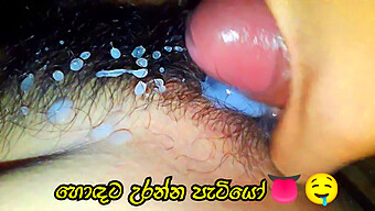 Teen Hodata Gets A Close-Up View Of A Big Cock In Sinhala Porn