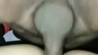 Indian Aunty Gets Fucked Hard In Standing Position