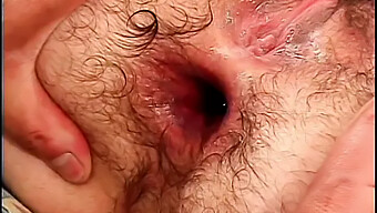 Teen'S Hairy Ass Gets Spread Wide For Anal Pleasure